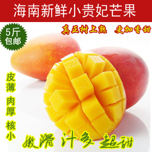 新鮮廣西青皮芒果 從田園到餐桌的卓越品質(zhì)指南