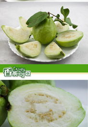 海南珍珠石榴 不僅是熱帶風(fēng)情，更是健康味道源頭